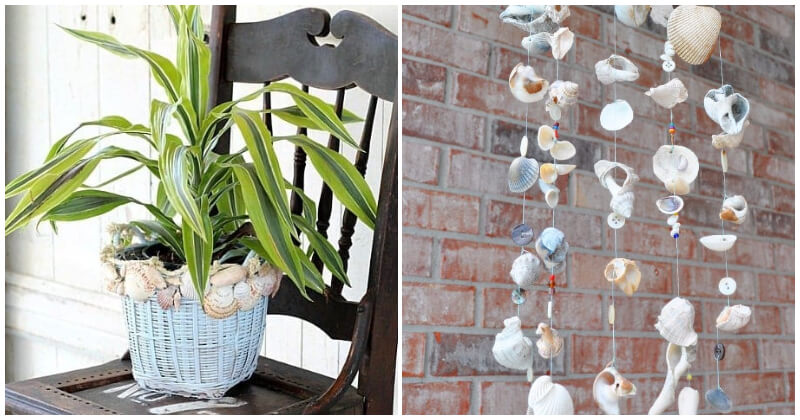 Easy DIY shell ideas to decorate houses