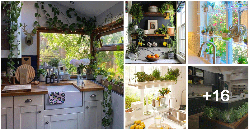 21 ideas for decorating kitchen spaces with plants