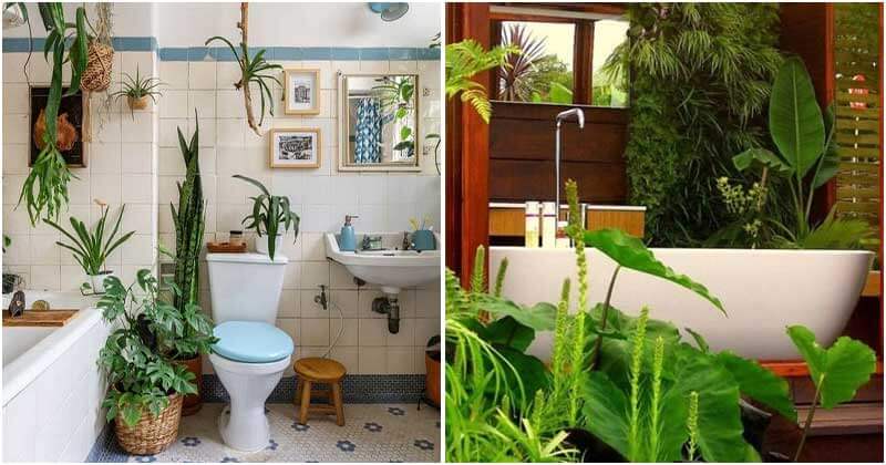 30 Refreshing ideas for bathroom decor with plants