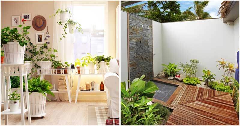 27 ways to decorate your home with plants and greenery