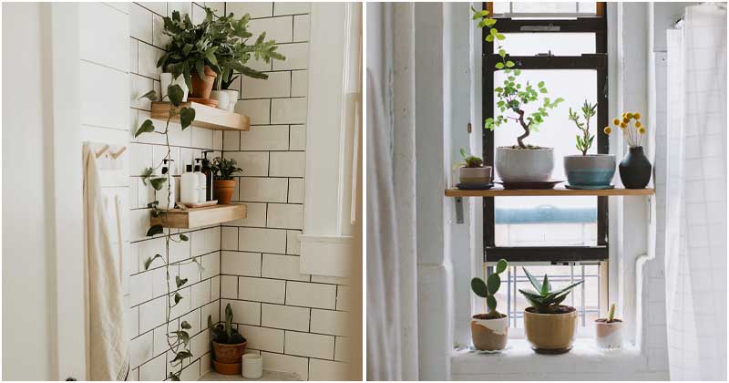 20 best ideas to make your own bathroom plant shelves - 131