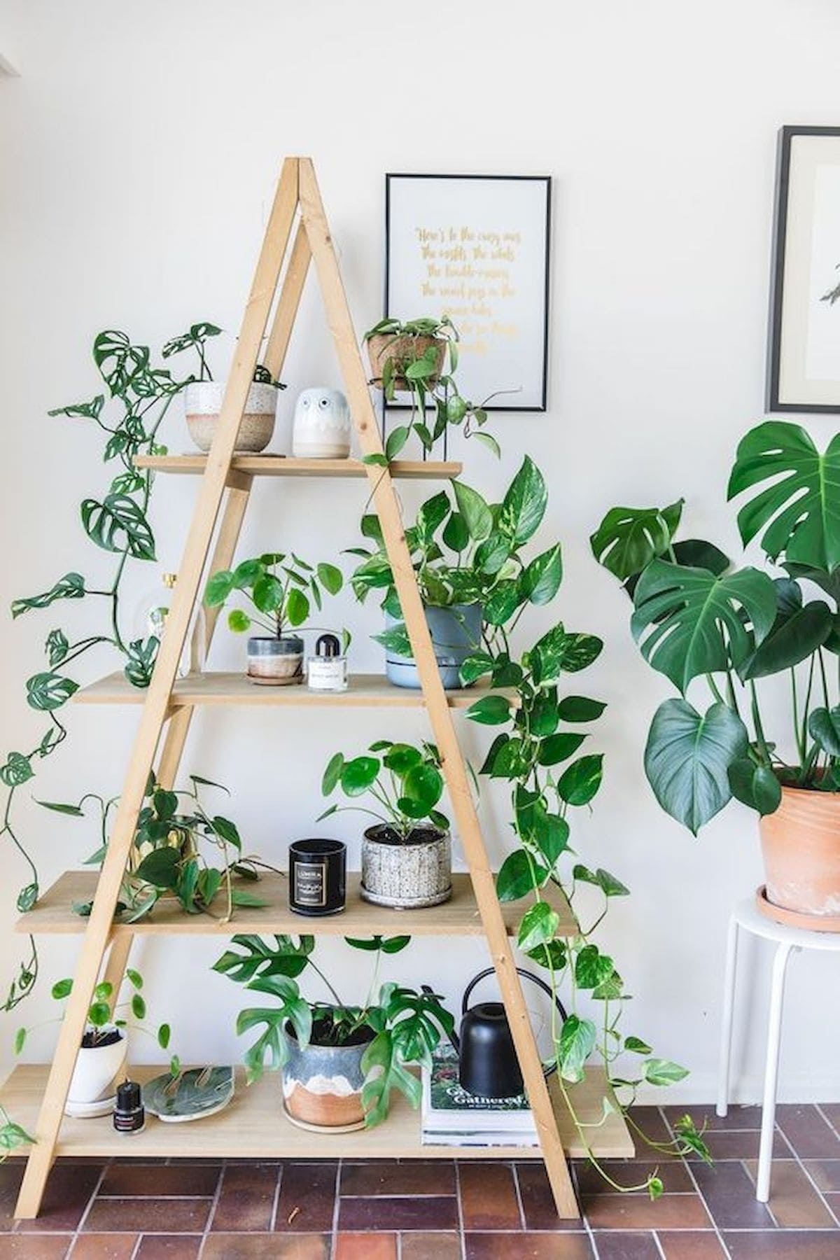 30 beautiful shelves for plants to take away - 117