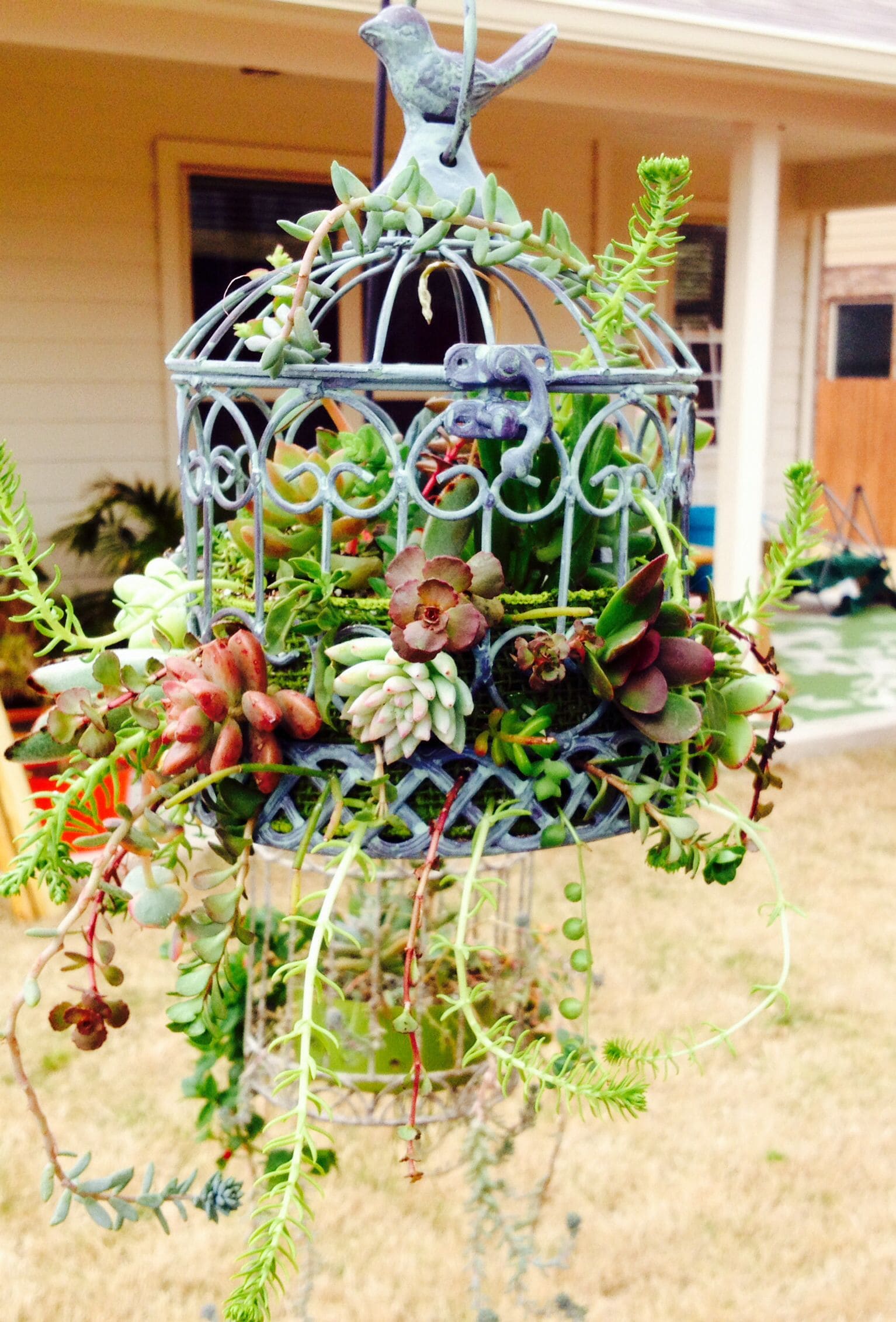 25 fascinating ideas to build a hanging mini succulent garden - 77