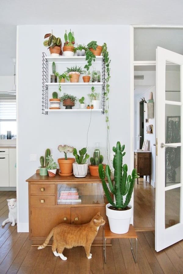 27 ways to decorate your home with plants and greenery - 71