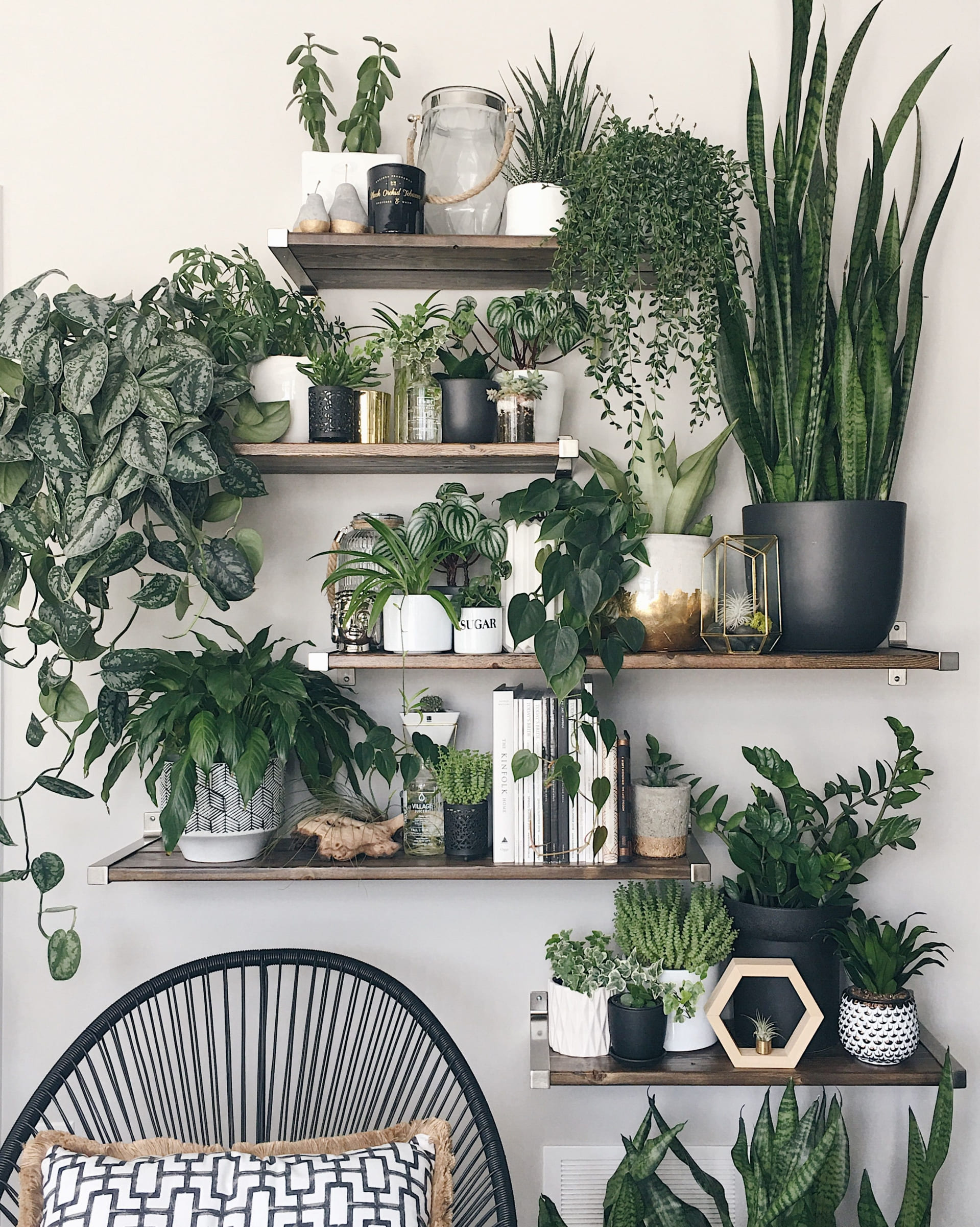 30 beautiful shelves for plants to take away - 129