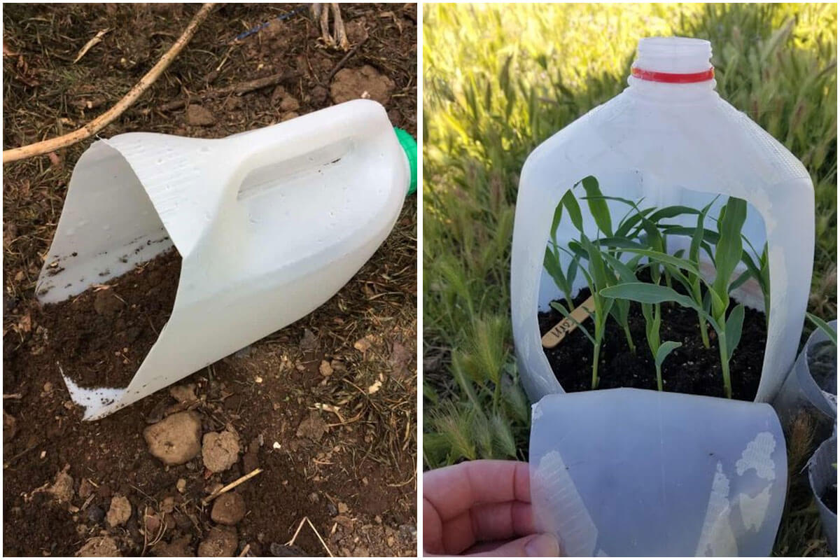 Useful plastic milk jug craft ideas for your home and garden