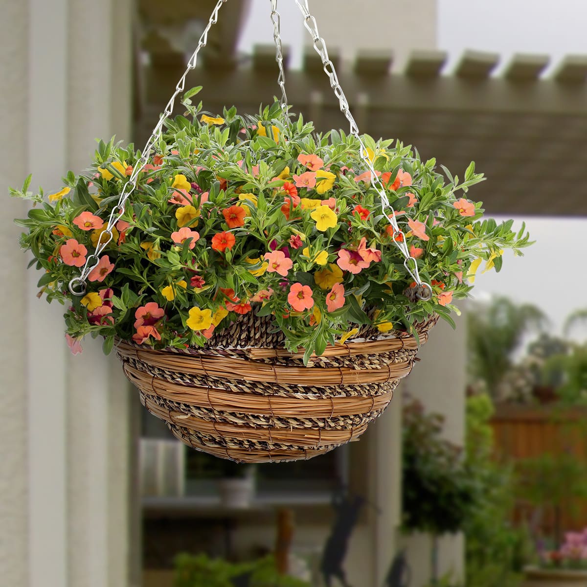 18 unique hanging basket ideas for your houseplant - 85