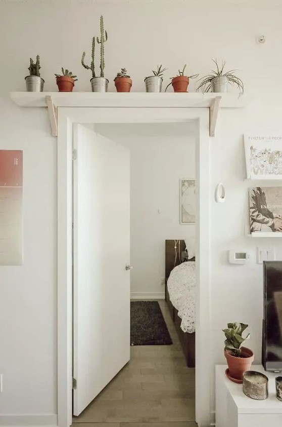 A simple open shelf over the door with potted plants and succulents is a very cool idea for rocking