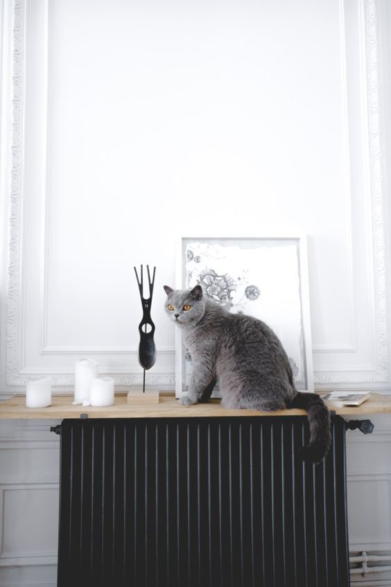 a Nordic room with a black radiator and a light stained shelf with decor and candles and a cat sitting there