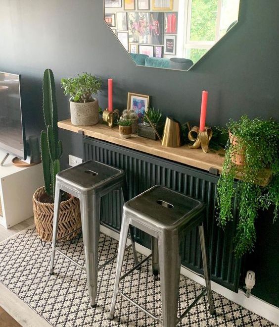 A shelf-covered soot radiator that serves as a plant stand and decorative stand is a lovely idea for a modern space