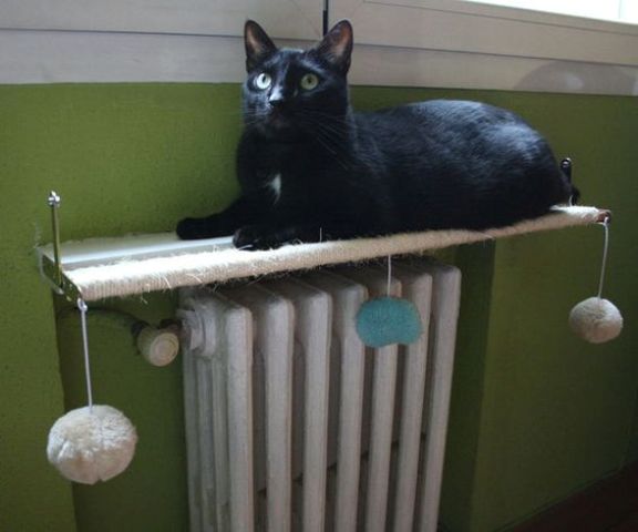 There is a cat shelf and play zone above the radiator to keep the kitten warm. This is a clever and cool DIY
