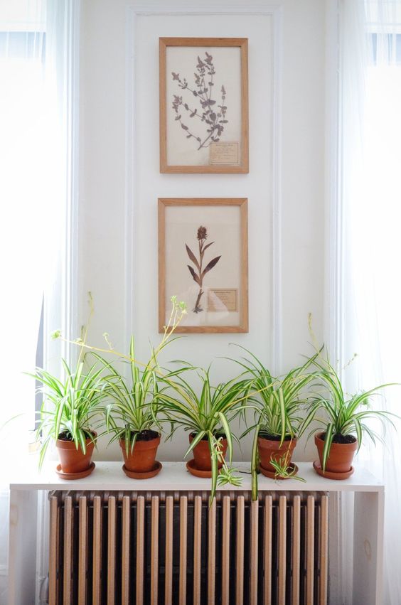 A minimalist shelf on the floor above the radiator serves as a plant stand. This is a clever and cool idea for any room