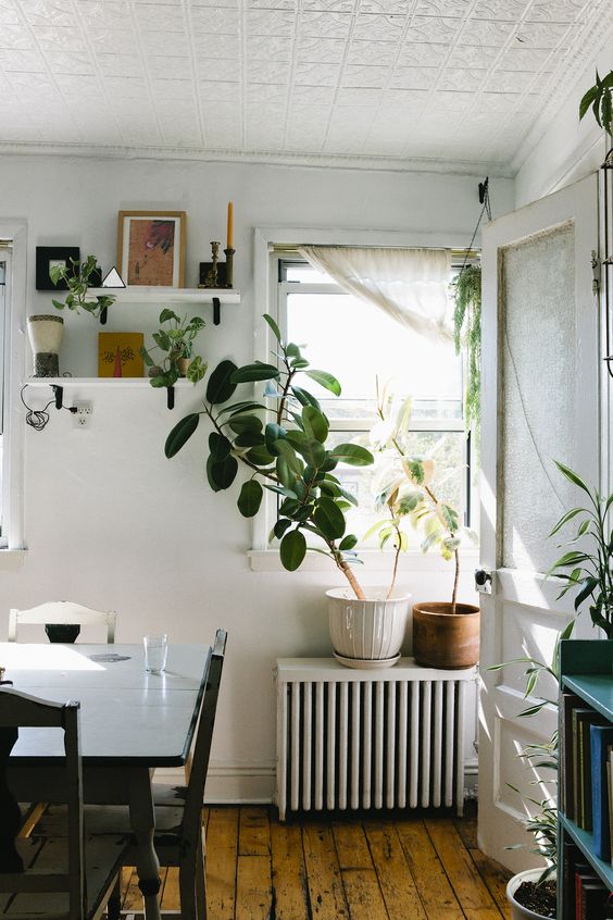 Small shelves on the wall and a matching shelf above the radiator that acts as a plant stand to keep the plants warm and give them more sunlight