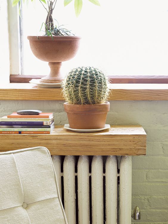 A very thick, light-stained wooden shelf for plants and books is a cool alternative to a regular windowsill and looks great