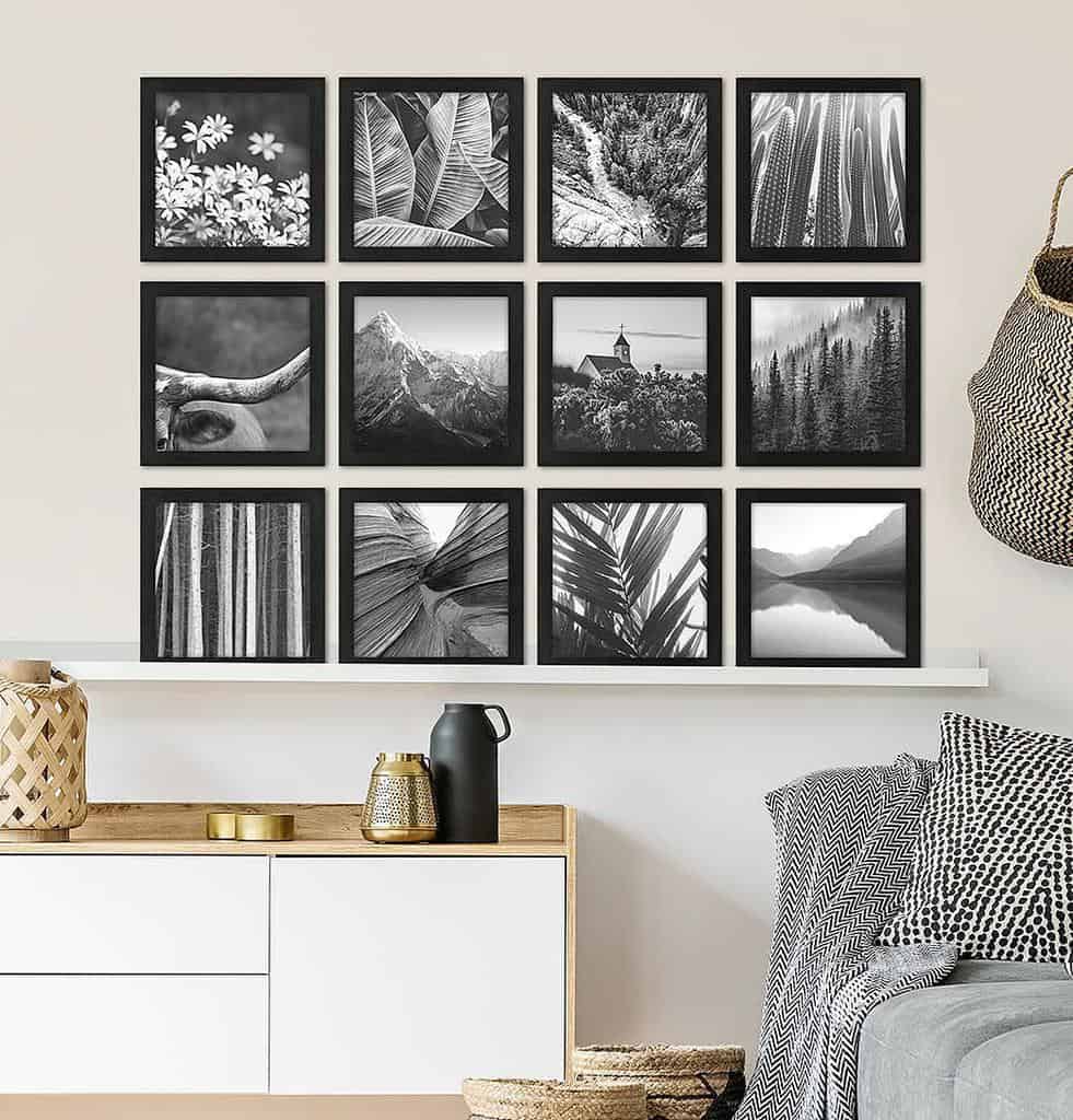 Framed black and white nature photos on the living room wall