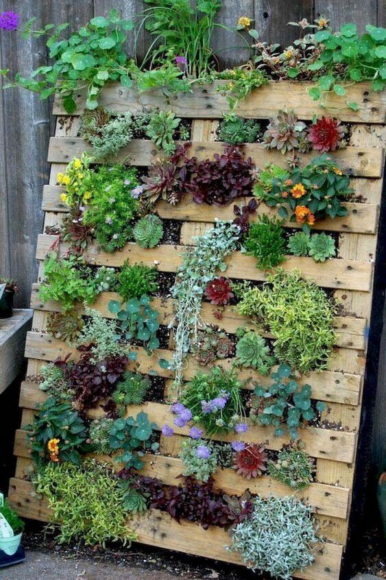 Creative Ways to Transform Your Outdoor Space with Pallet Gardens