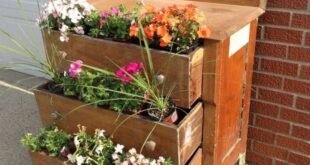 chest of drawers garden planter