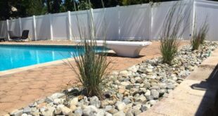 pool landscaping backyard
