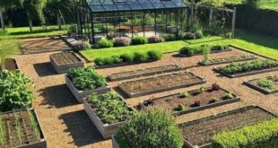 vegetable garden design