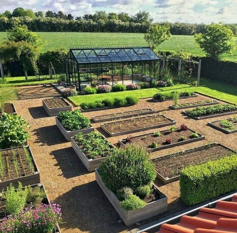 Creating a Beautiful Vegetable Garden Layout