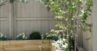 small garden area ideas