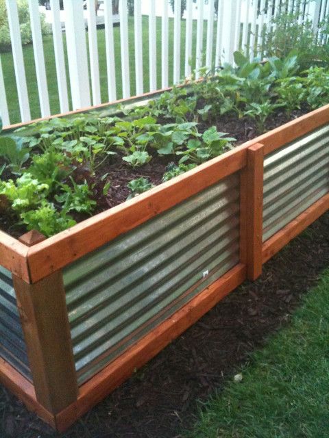 Discover the Benefits of Galvanized Raised Garden Beds