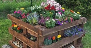garden ideas using pallets
