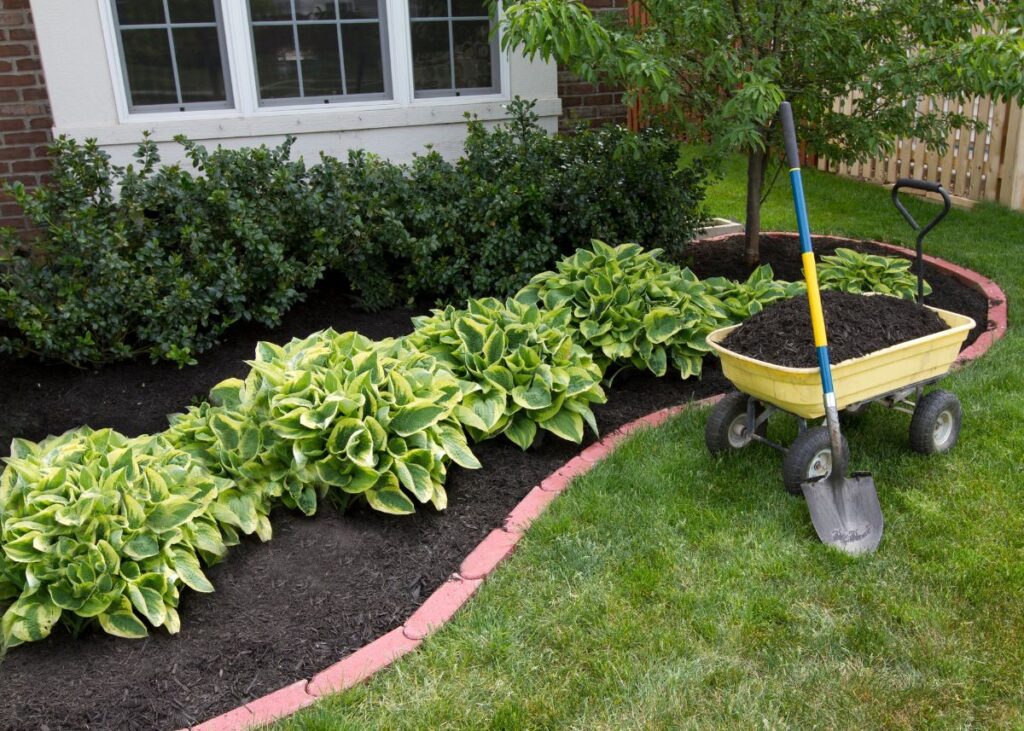 landscaping mulch ideas