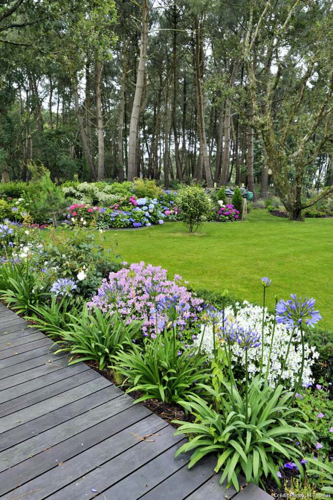 garden design with stones