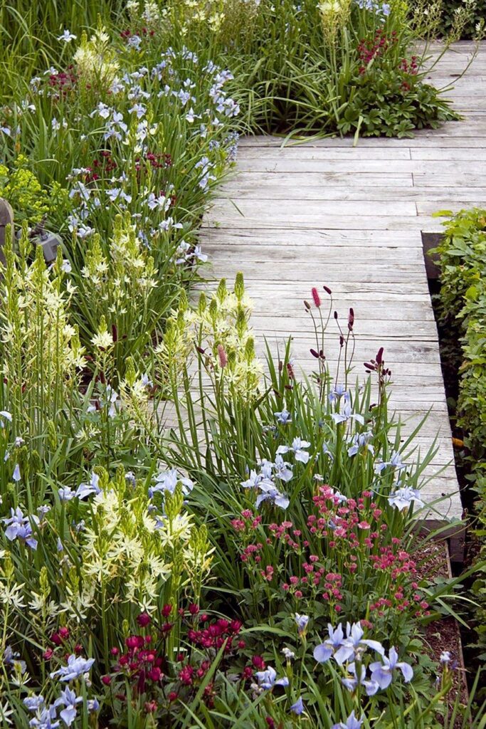 flower beds in front of house