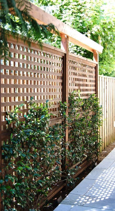 Affordable Ways to Create Privacy with a Fence