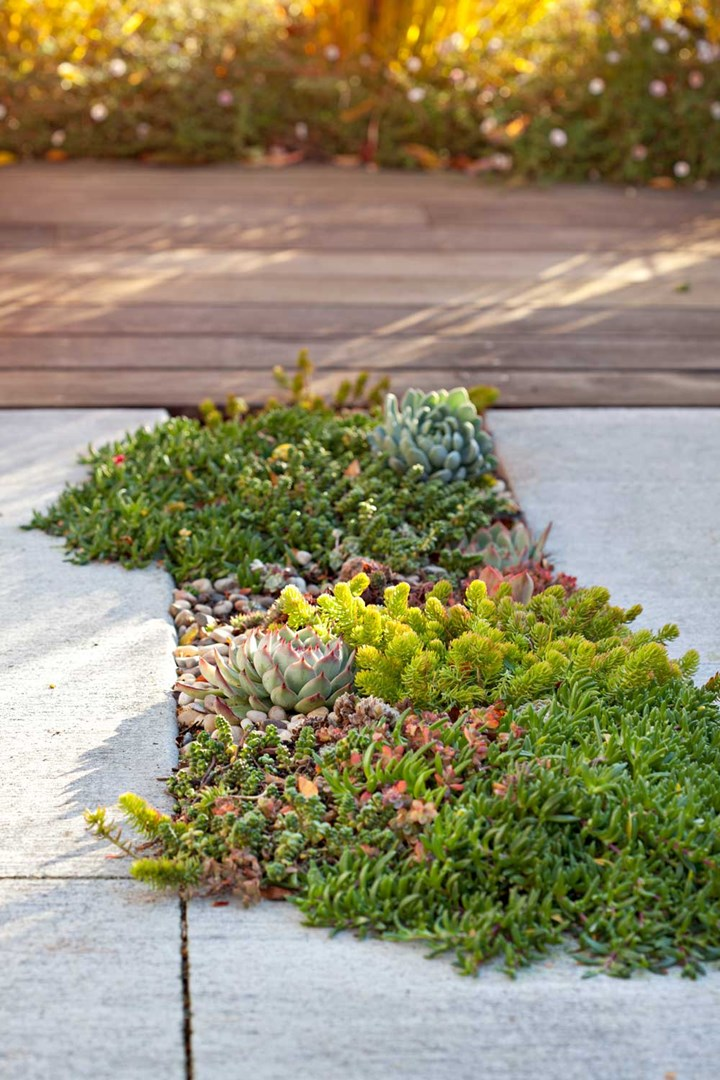 Enhance Your Outdoor Space with Stylish Garden Pavers