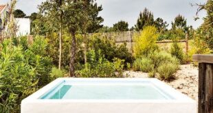 small plunge pools for small yards