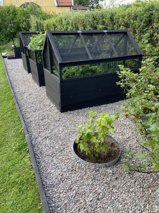 Creating a Stunning Front Yard Garden Design