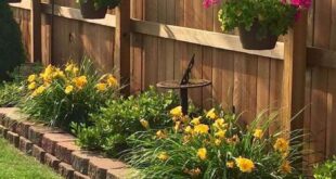 landscaping along fence