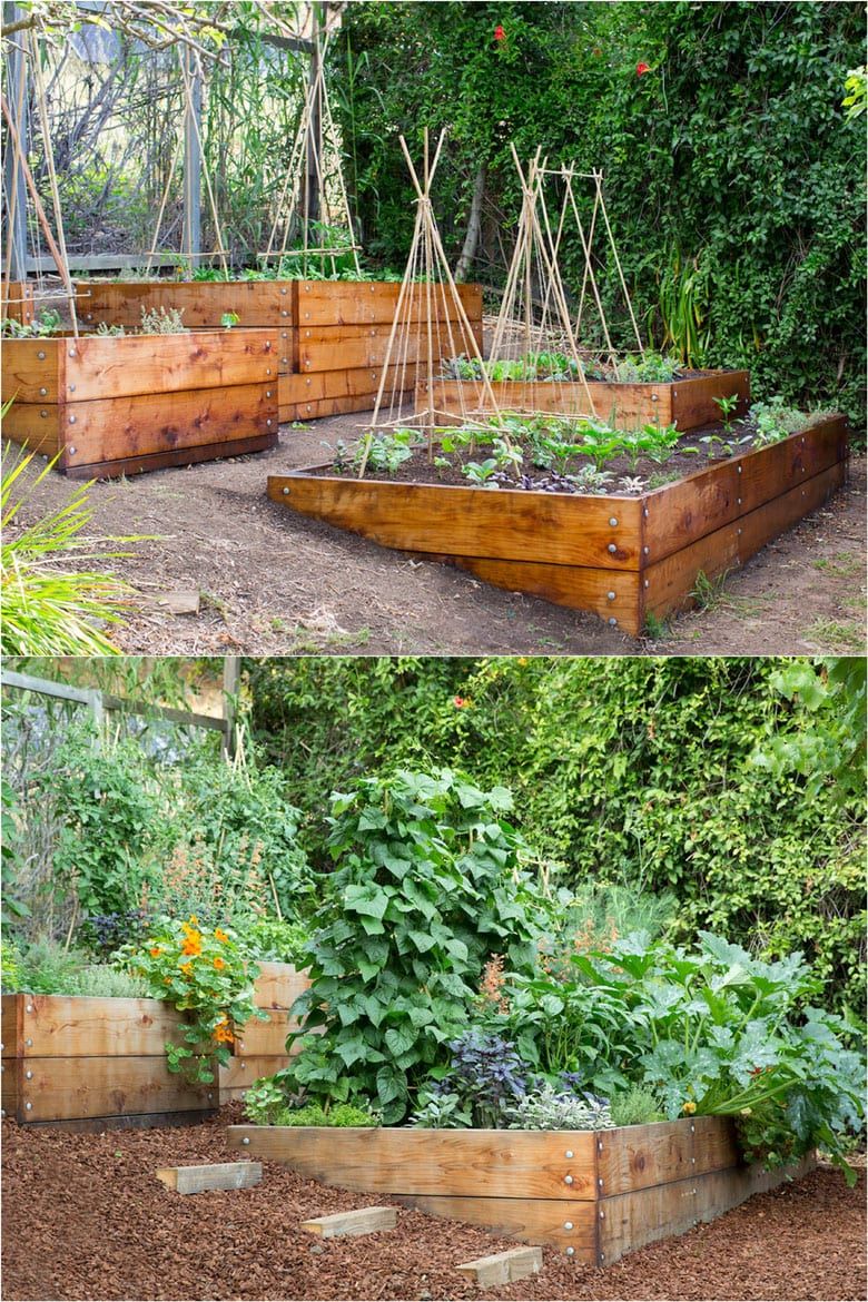 Creative Ways to Design Your Vegetable Garden