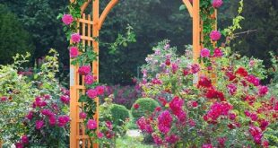 wooden garden arches