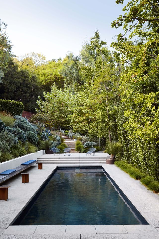 Creating a Stunning Oasis with Backyard Pool Landscaping