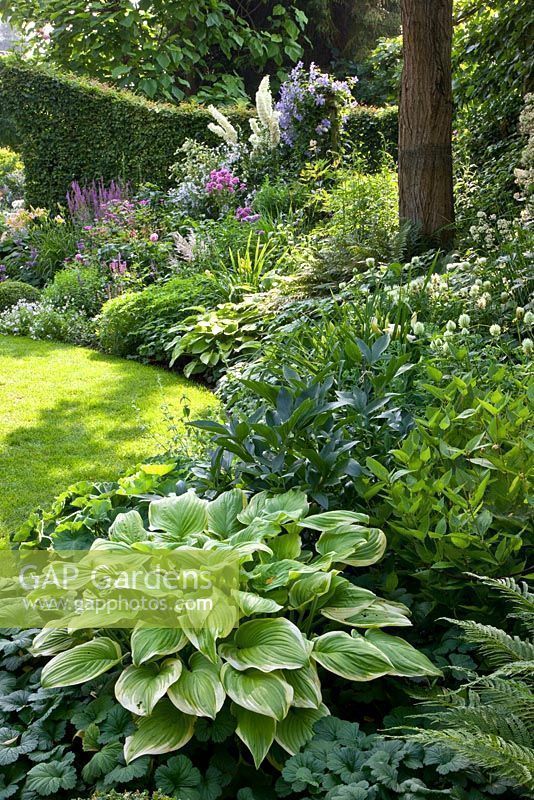 Enhancing Your Garden with Beautiful Borders