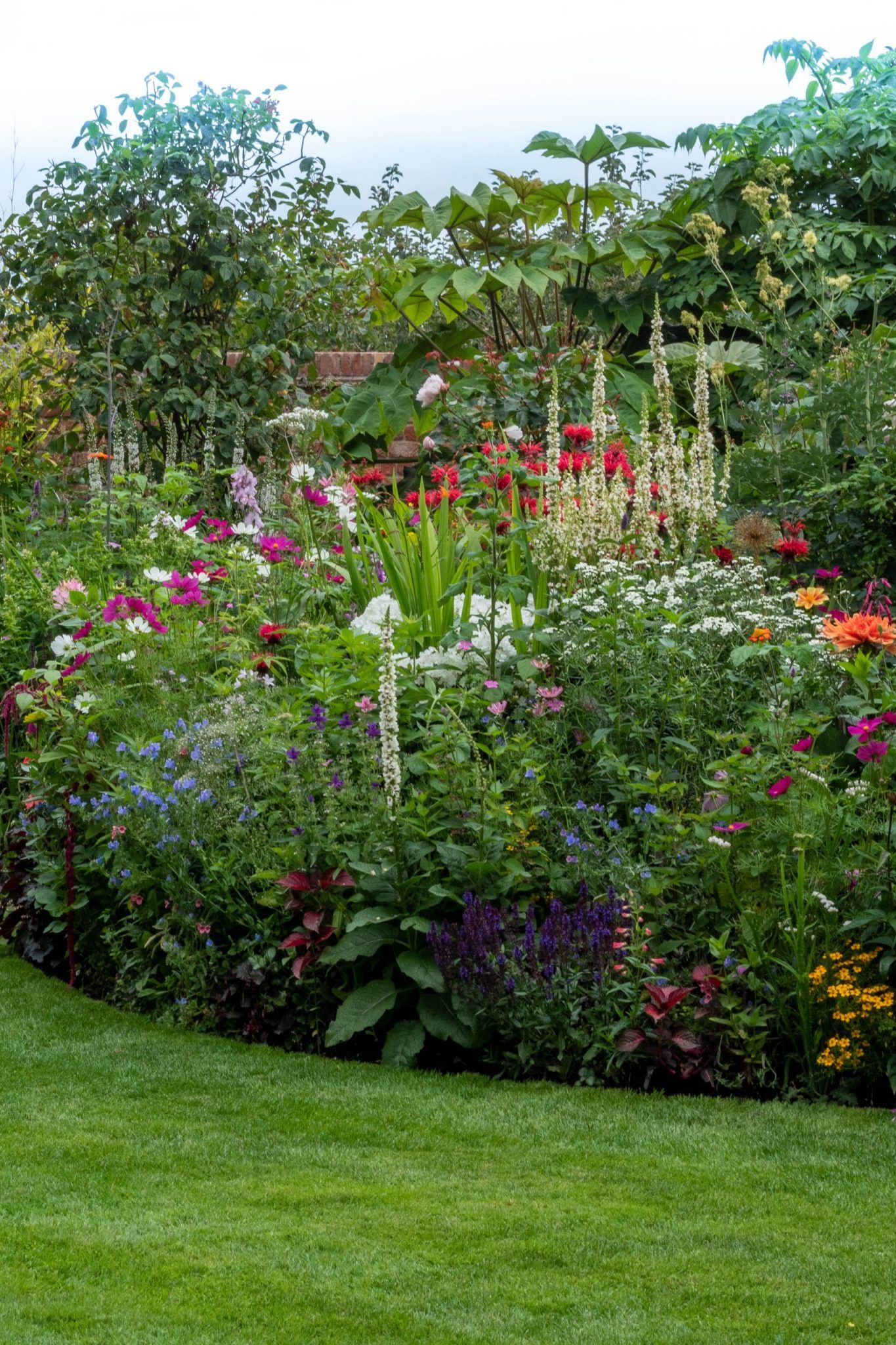 Creating Charming Garden Borders with Limited Space