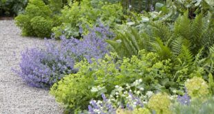 landscaping garden