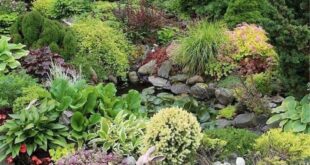 landscaping with rocks