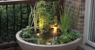 water garden ideas