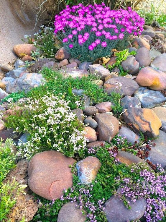 Creative Landscaping Rock Design Ideas for Your Outdoor Space