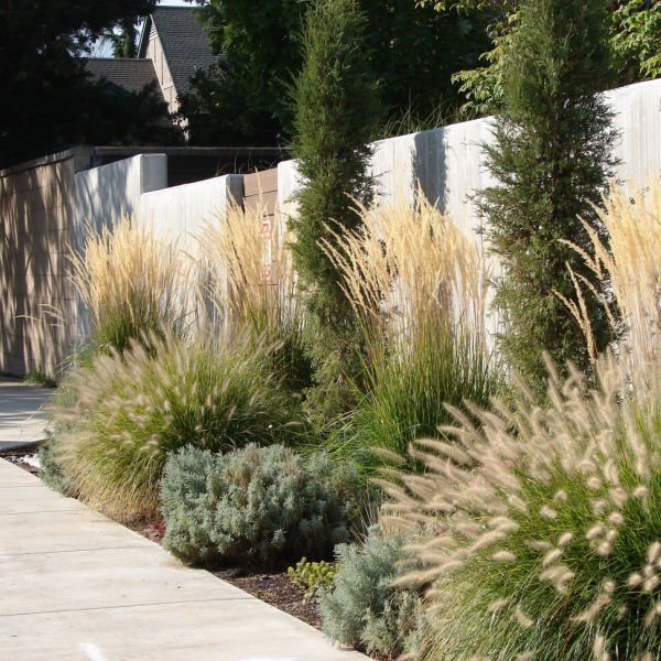 Easy Ways to Enhance Your Front Yard with Landscaping