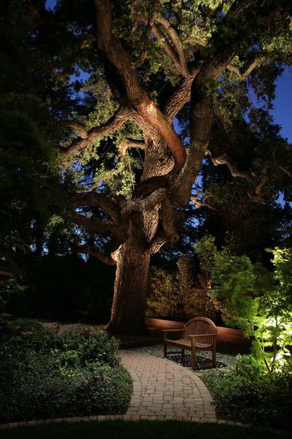 Enhancing Your Outdoor Space with Beautiful Landscape Lighting