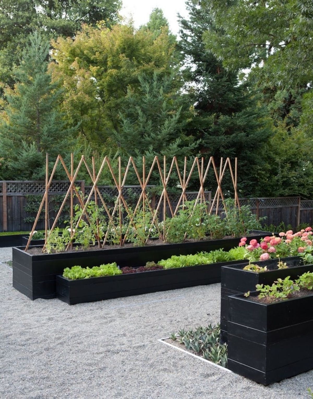 Advantages of Using Metal Raised Garden Beds for Your Plants’ Growth