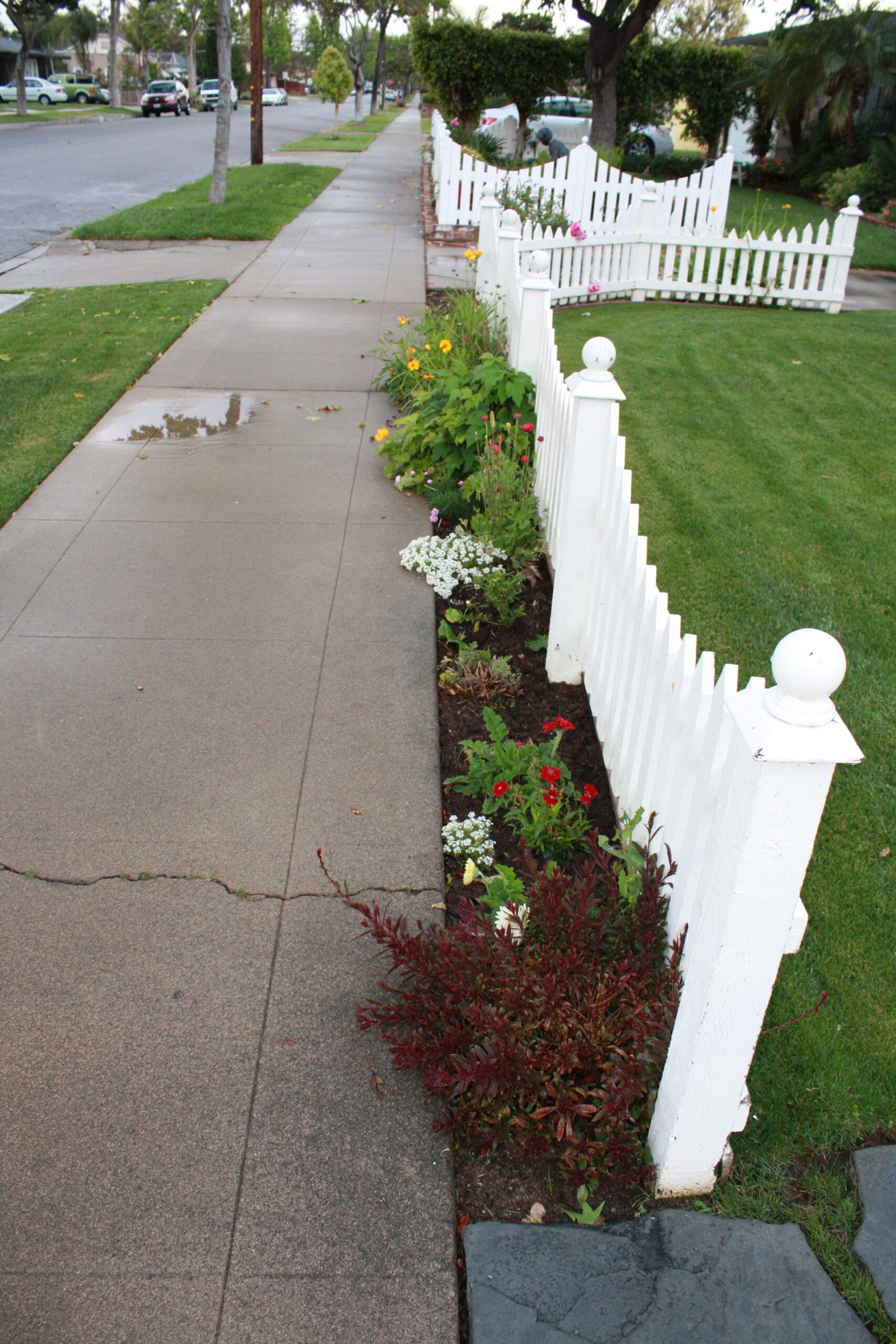The Charm of a White Picket Fence Front Yard
