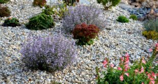 landscaping gravel