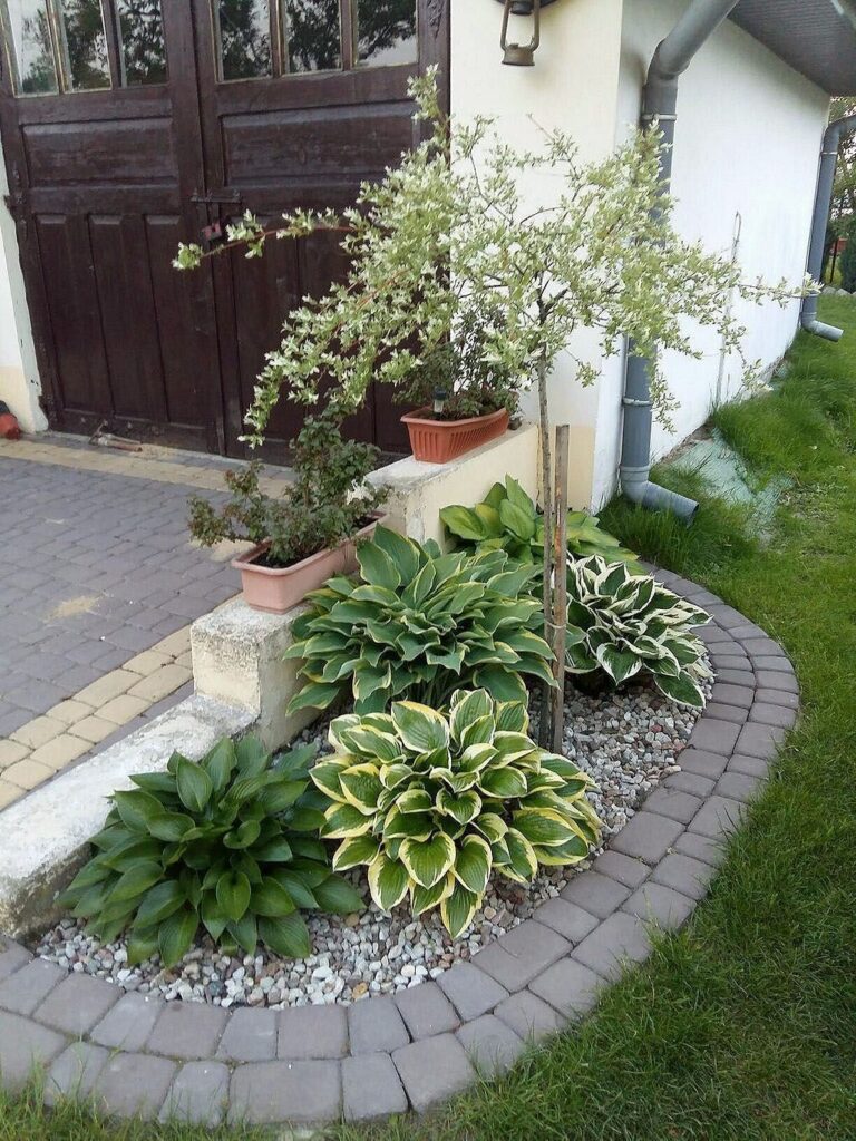 landscaping small front yard
